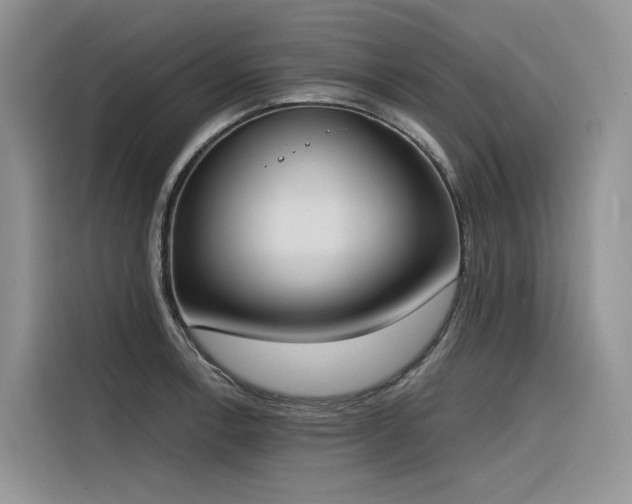 X0000116381138200912021514