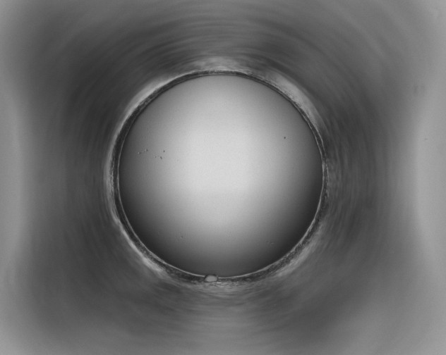 X0000116381141200912021514