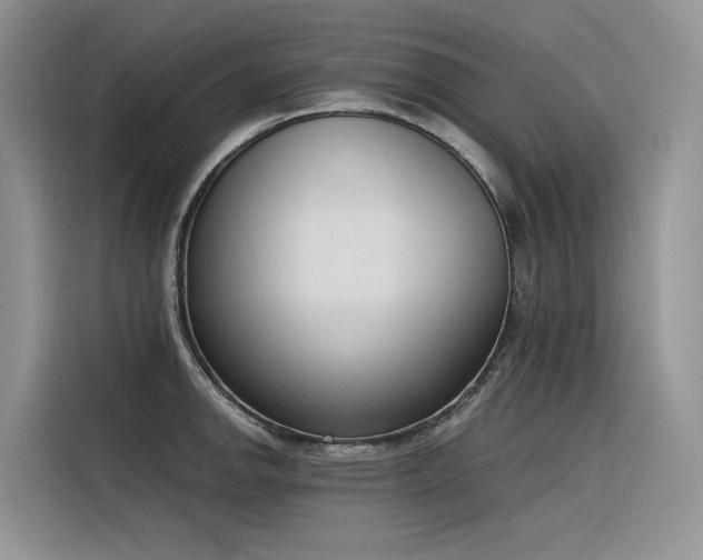 X0000116381142200912021514