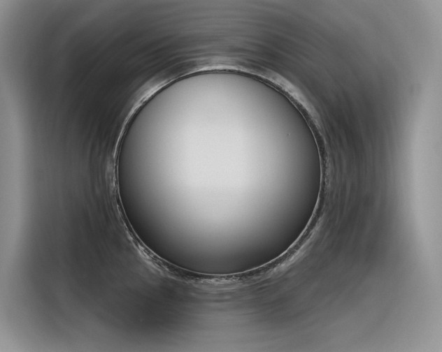 X0000116381145200912021514