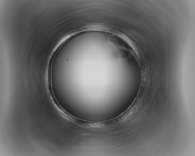 X0000116381147200912021514