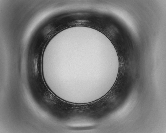 X0000116381150200912021514