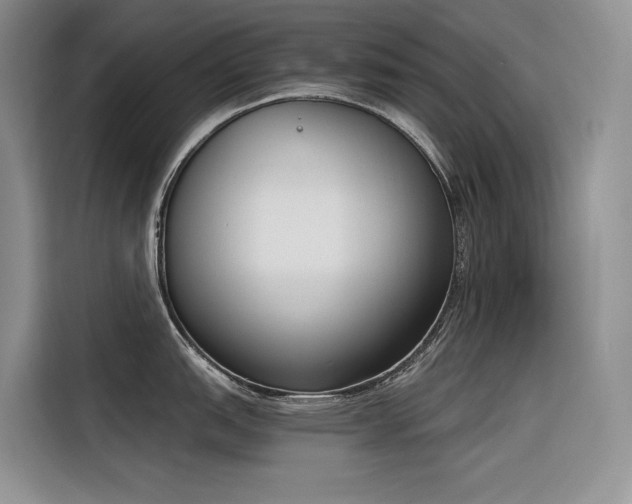X0000116381151200912021514