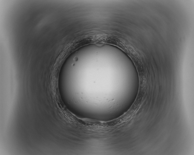 X0000116381153200912021514