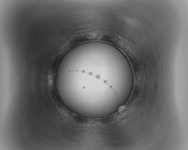 X0000116381154200912021514