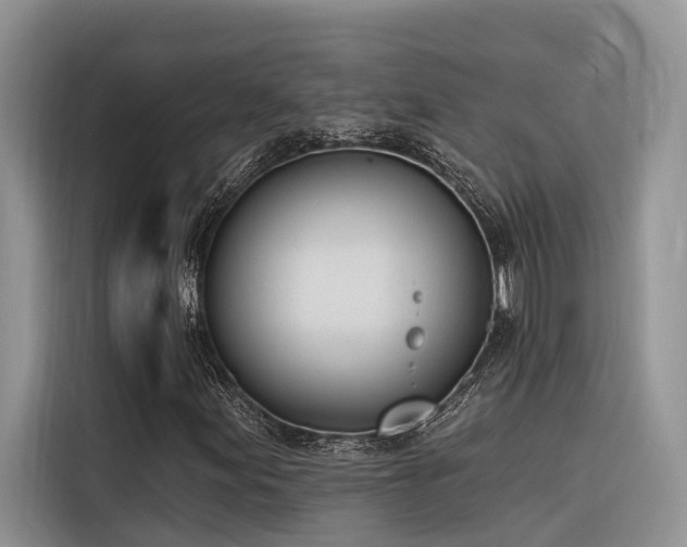 X0000116381155200912021514