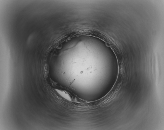 X0000116381156200912021514