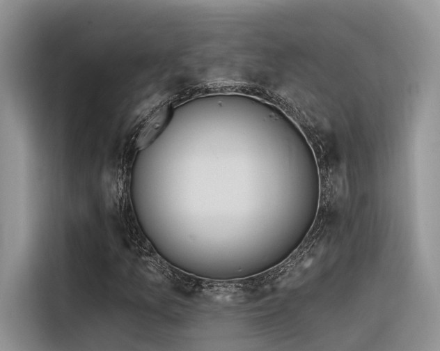 X0000116381157200912021514
