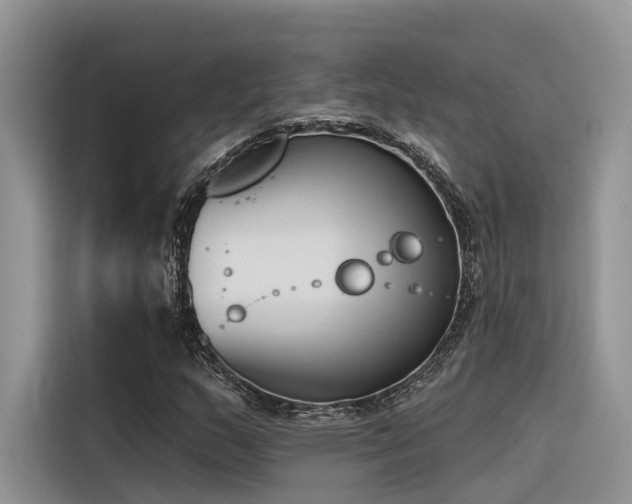 X0000116381159200912021514