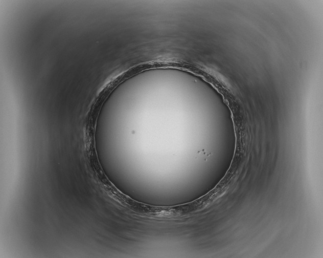 X0000116381160200912021514