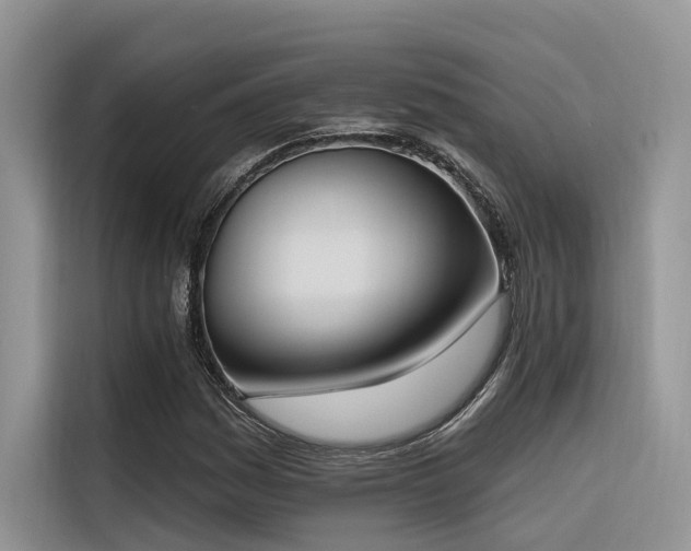 X0000116381161200912021514