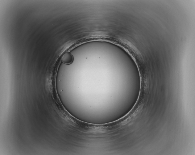 X0000116381162200912021514