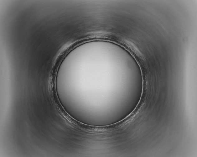 X0000116381164200912021514