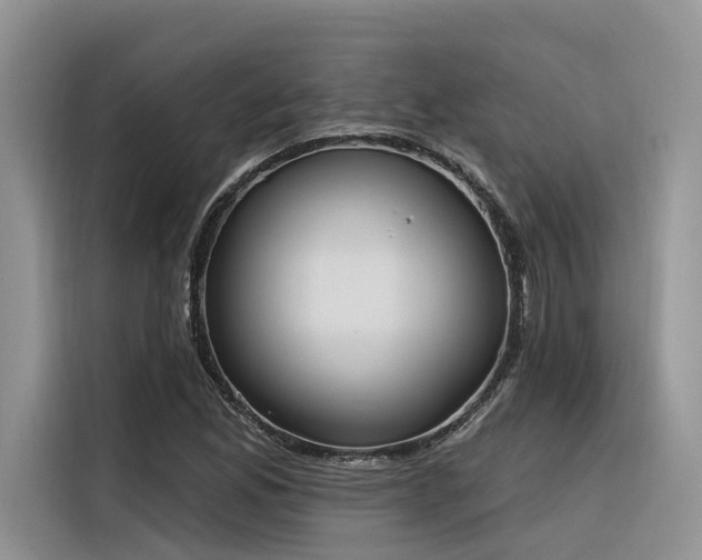 X0000116381165200912021514