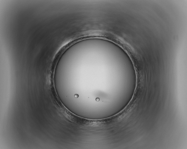 X0000116381166200912021514