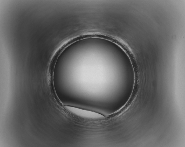 X0000116381167200912021514