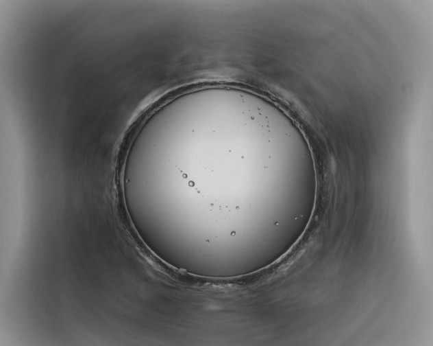 X0000116381168200912021514