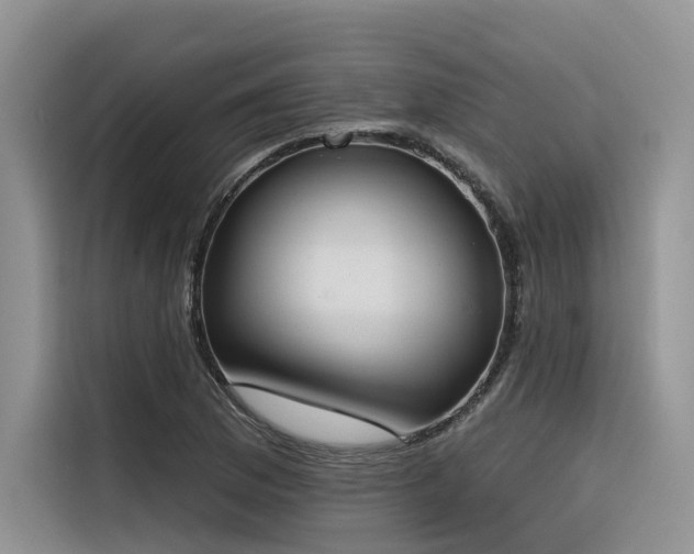 X0000116381169200912021514