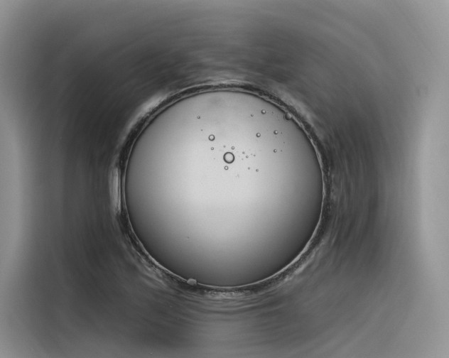 X0000116381171200912021514