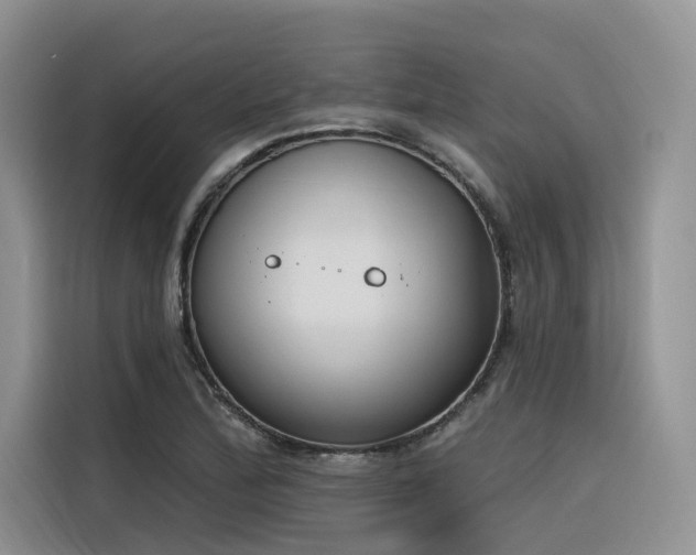 X0000116381172200912021514
