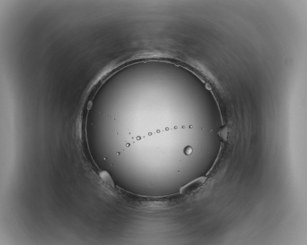 X0000116381173200912021514