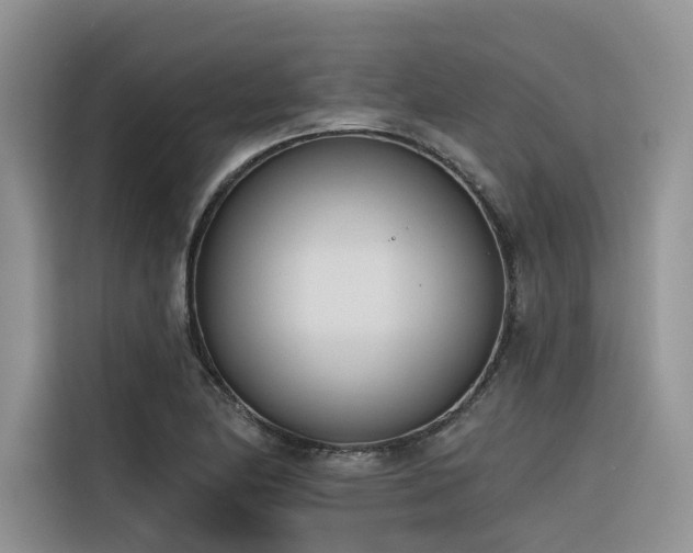 X0000116381174200912021514