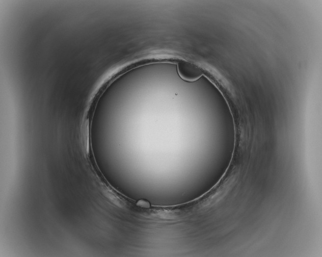 X0000116381175200912021513
