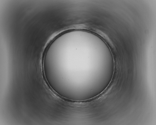 X0000116381176200912021513