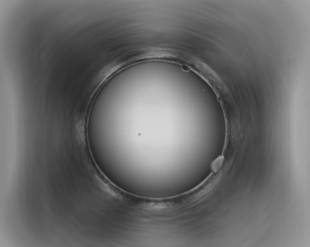 X0000116381177200912021513