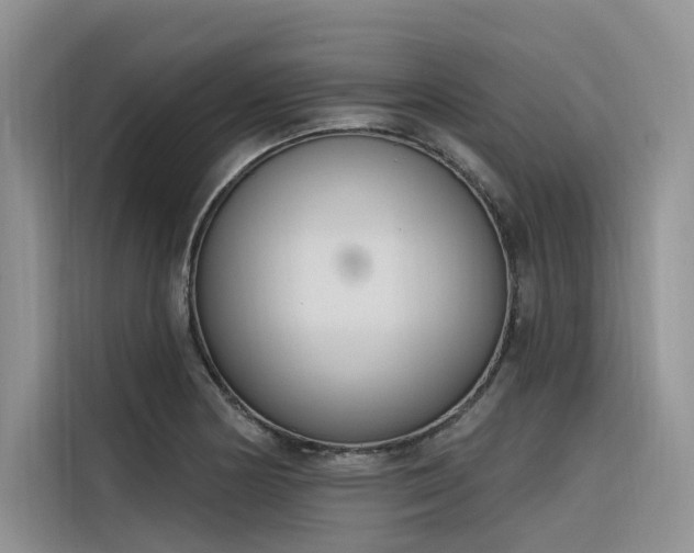 X0000116381178200912021513