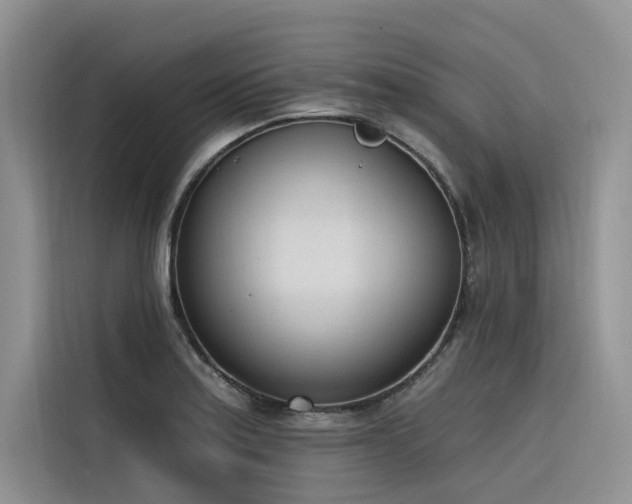 X0000116381179200912021513
