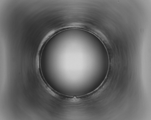 X0000116381180200912021513