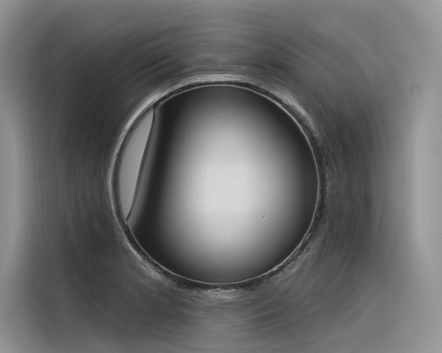 X0000116381181200912021513