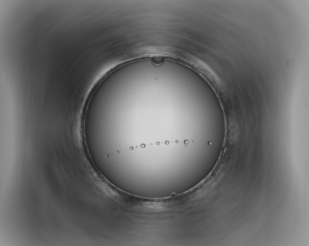 X0000116381182200912021513