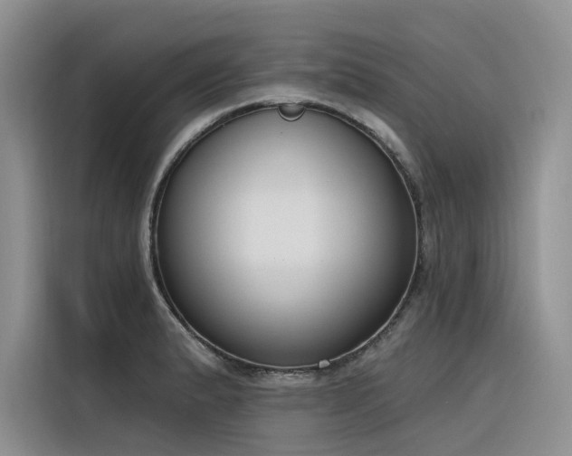 X0000116381183200912021513