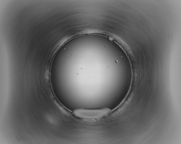 X0000116381185200912021513