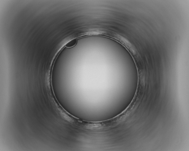 X0000116381186200912021513