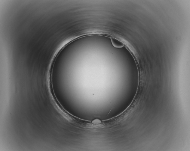 X0000116381187200912021513