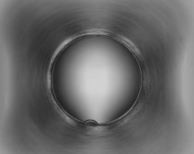 X0000116381188200912021513