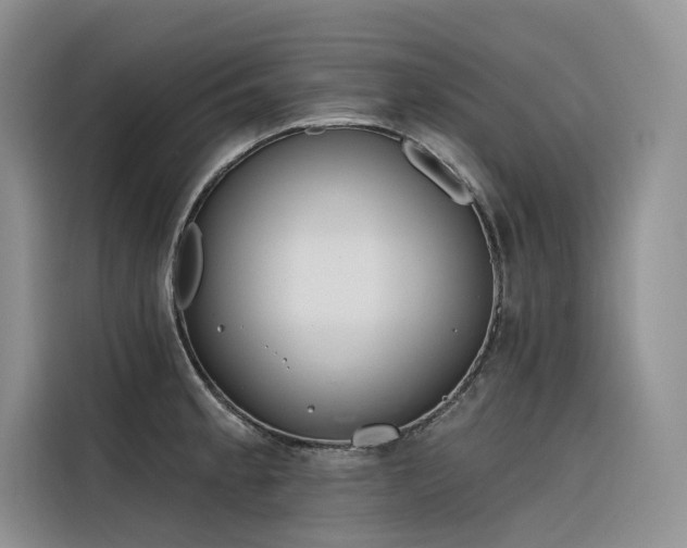 X0000116381189200912021513