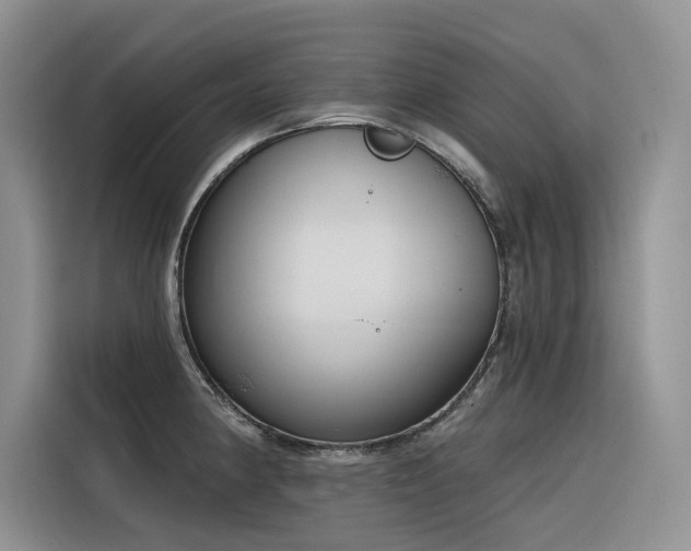 X0000116381190200912021513