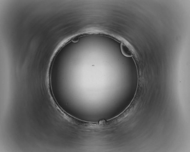 X0000116381191200912021513