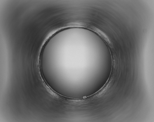 X0000116381192200912021513