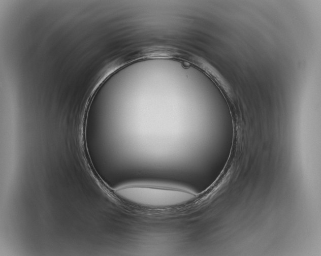 X0000116381194200912021513