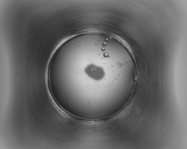X0000116381195200912021513