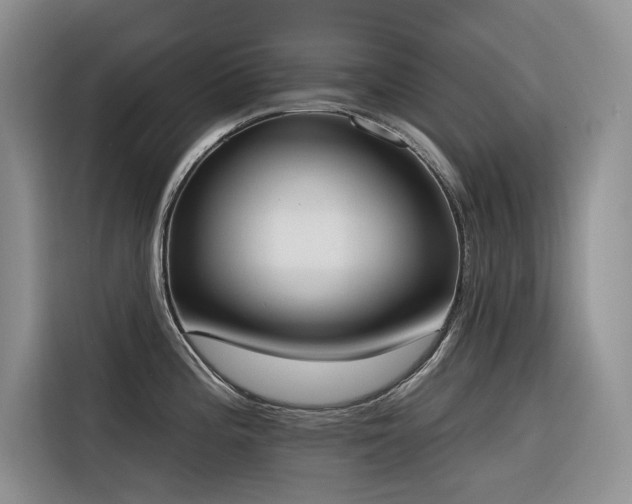 X0000116381196200912021513