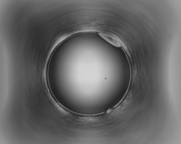 X0000116381197200912021513