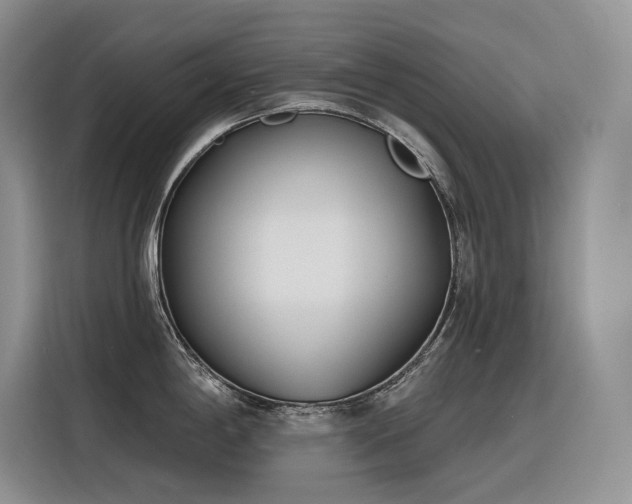 X0000116381198200912021513