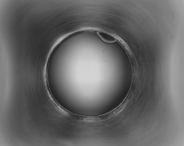 X0000116381199200912021513