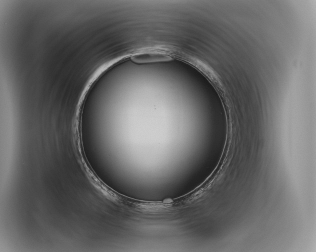 X0000116381200200912021513